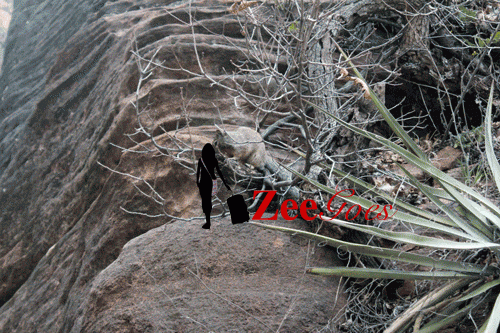 I got a little captivated