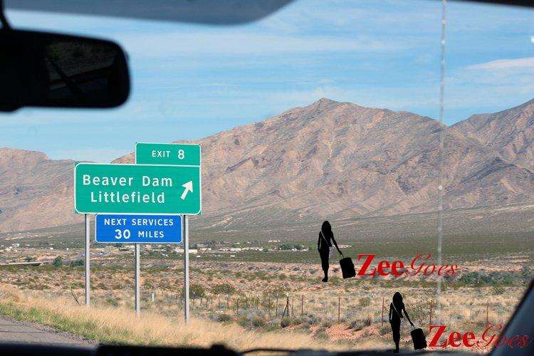 Nwanneka told us that Beaver Dam was a place where Beavers actually built a dam, so we decided to go check it out