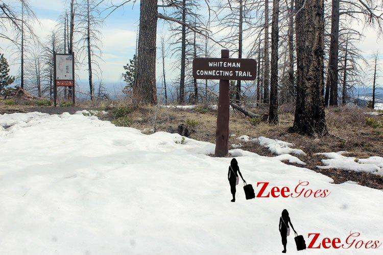 Travel Usa: Bryce Canyon City To Torrey 7 Let's go hiking!