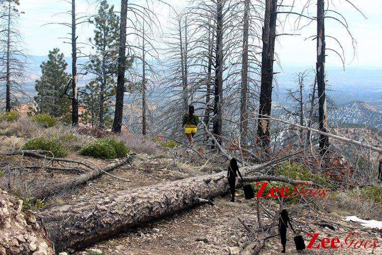 Travel Usa: Bryce Canyon City To Torrey 8 Let's go hiking!