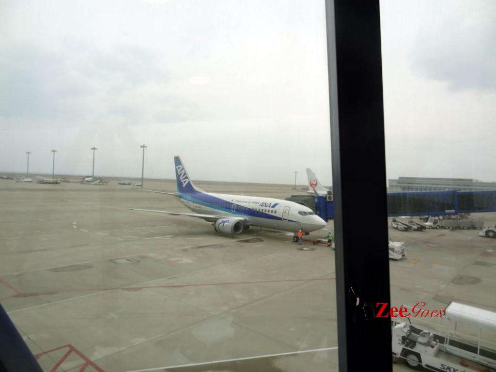 From Nagoya to Ishigaki