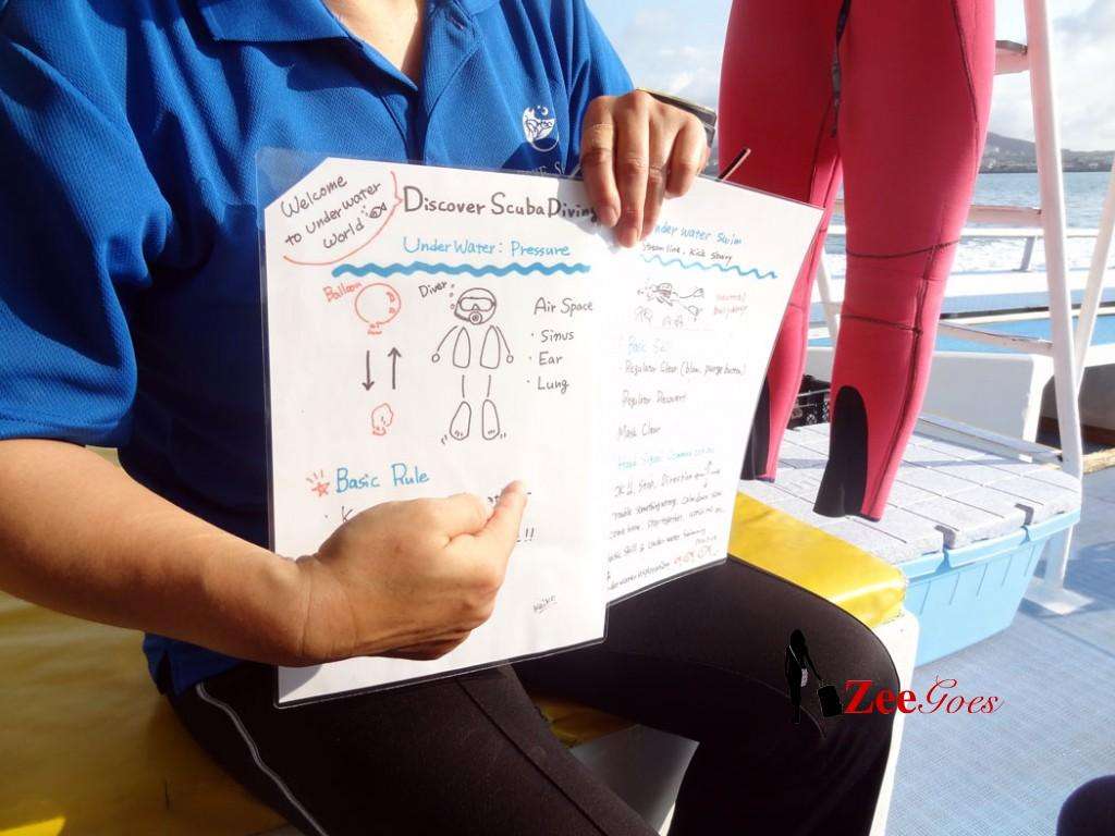 Getting a little brief before diving in