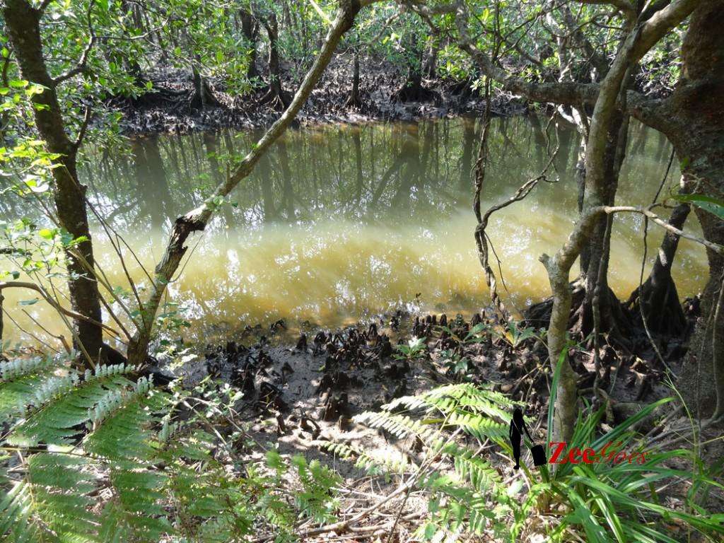 Looks like a horror movie