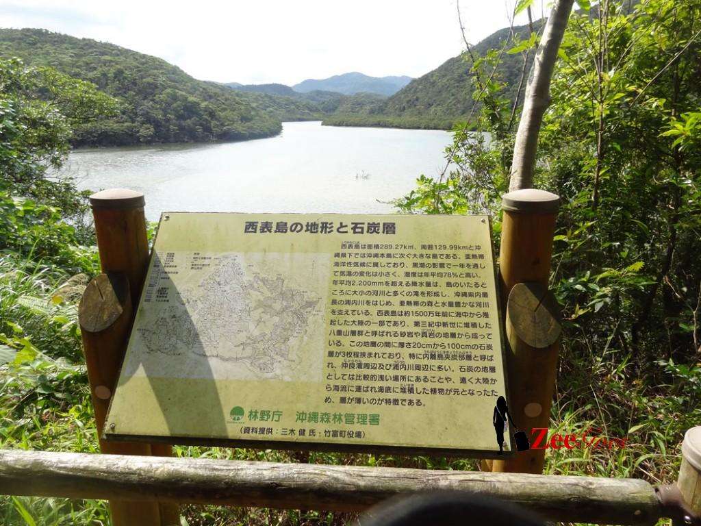 The view and the scripts