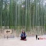 Guardian article: traveling solo while nigerian and female