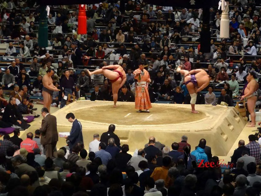 One leg up! "shiko is performed ritually to drive away demons before each bout and as part of the yokozuna dohyō-iri. "