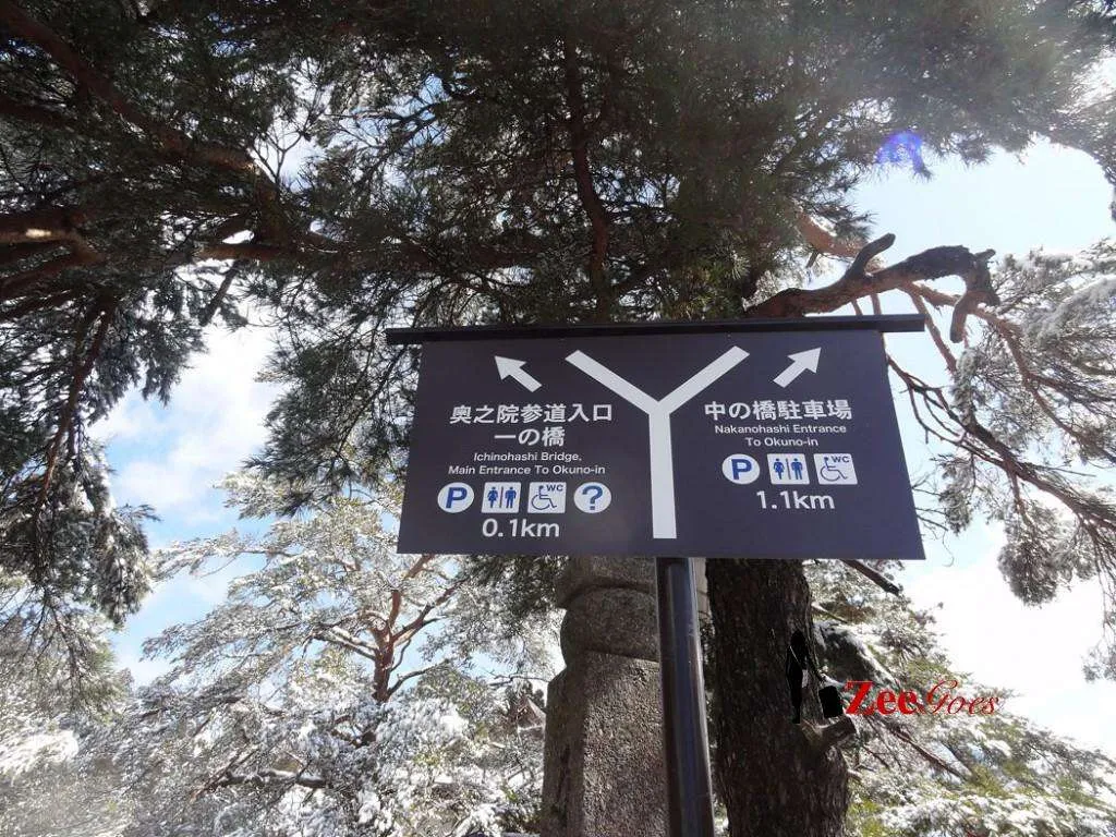 Time to go on a mini trek