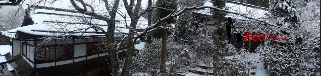 Zeegoes to japan: 32 days in less than 2 minutes