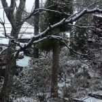 Zeegoes to japan: 32 days in less than 2 minutes