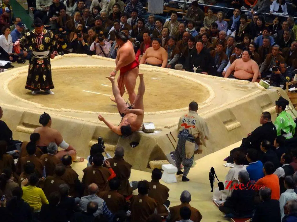 Literally got thrown out of the ring. Bye, bye...