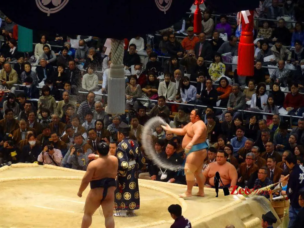 "the wrestlers throw salt into the ring to purify it before they begin their match, as the dohyo is considered a sacred place. "