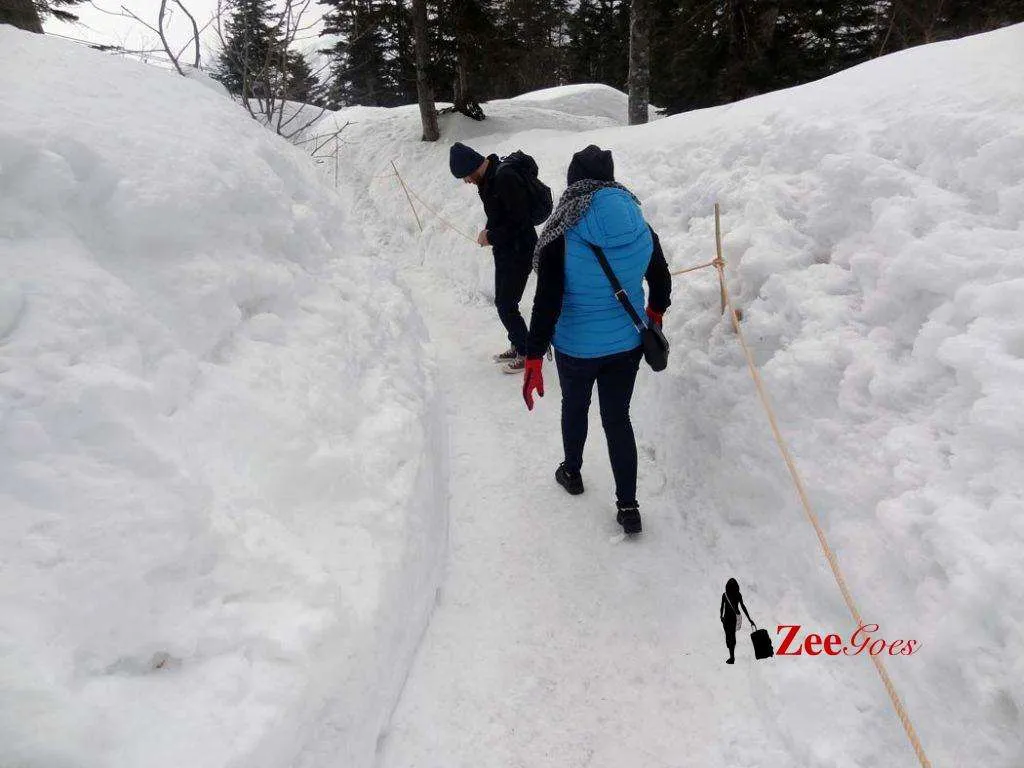We were trying not to fall during our short mountain trek