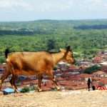 Road trip to olumo rock and the goats