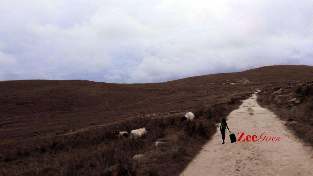 The deserted village