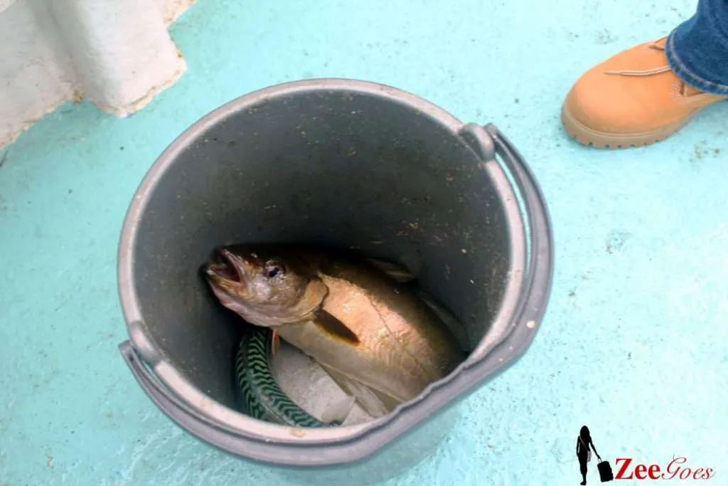 Not my catch
