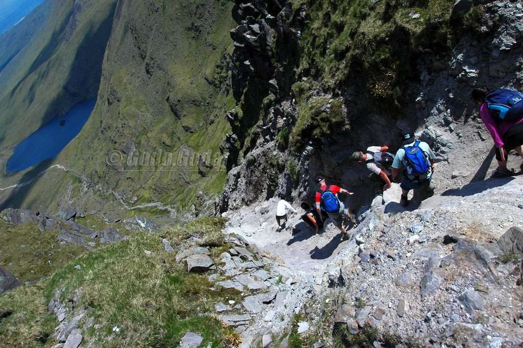 Photo cred: godo godaj