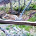 A road trip with friends through the grand circle