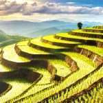 Want to visit thailand this year? Here are 20 things to do in thailand