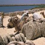 Visa process to chad as a nigerian passport holder