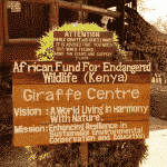 Visa process to kenya as a nigerian passport holder