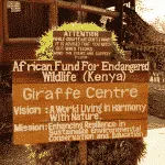 Visa process to kenya as a nigerian passport holder