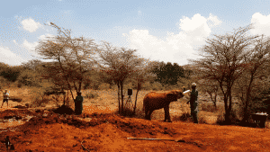 Visa Process To Kenya As A Nigerian Passport Holder 5 Visa process to kenya as a nigerian passport holder