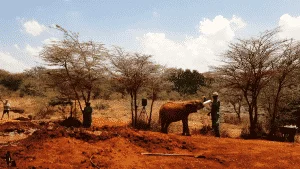 Visa Process To Kenya As A Nigerian Passport Holder 5 Visa process to kenya as a nigerian passport holder