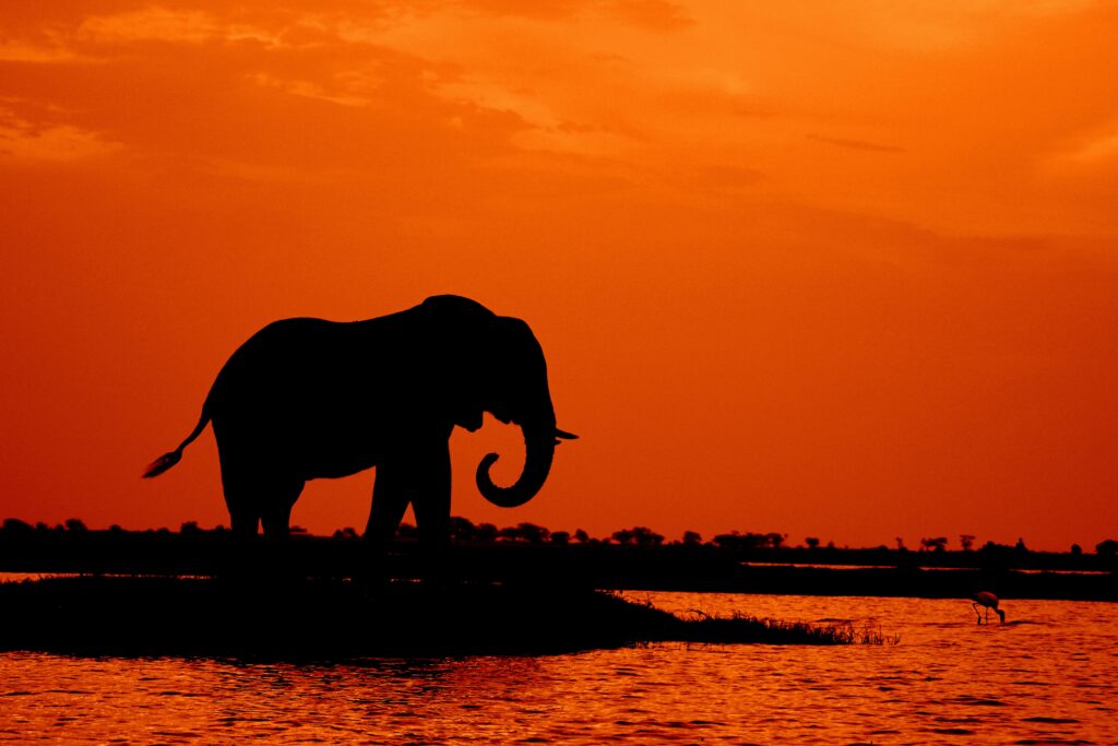 Visa To Botswana, How To Guide For Nigerians And Other Travelers 9 Visa to botswana, how to guide for nigerians and other travelers